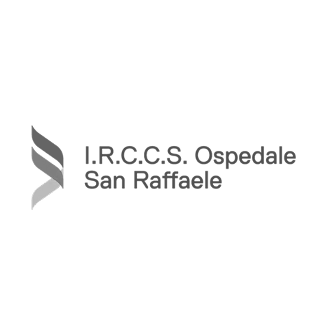 San Raffaele Hospital